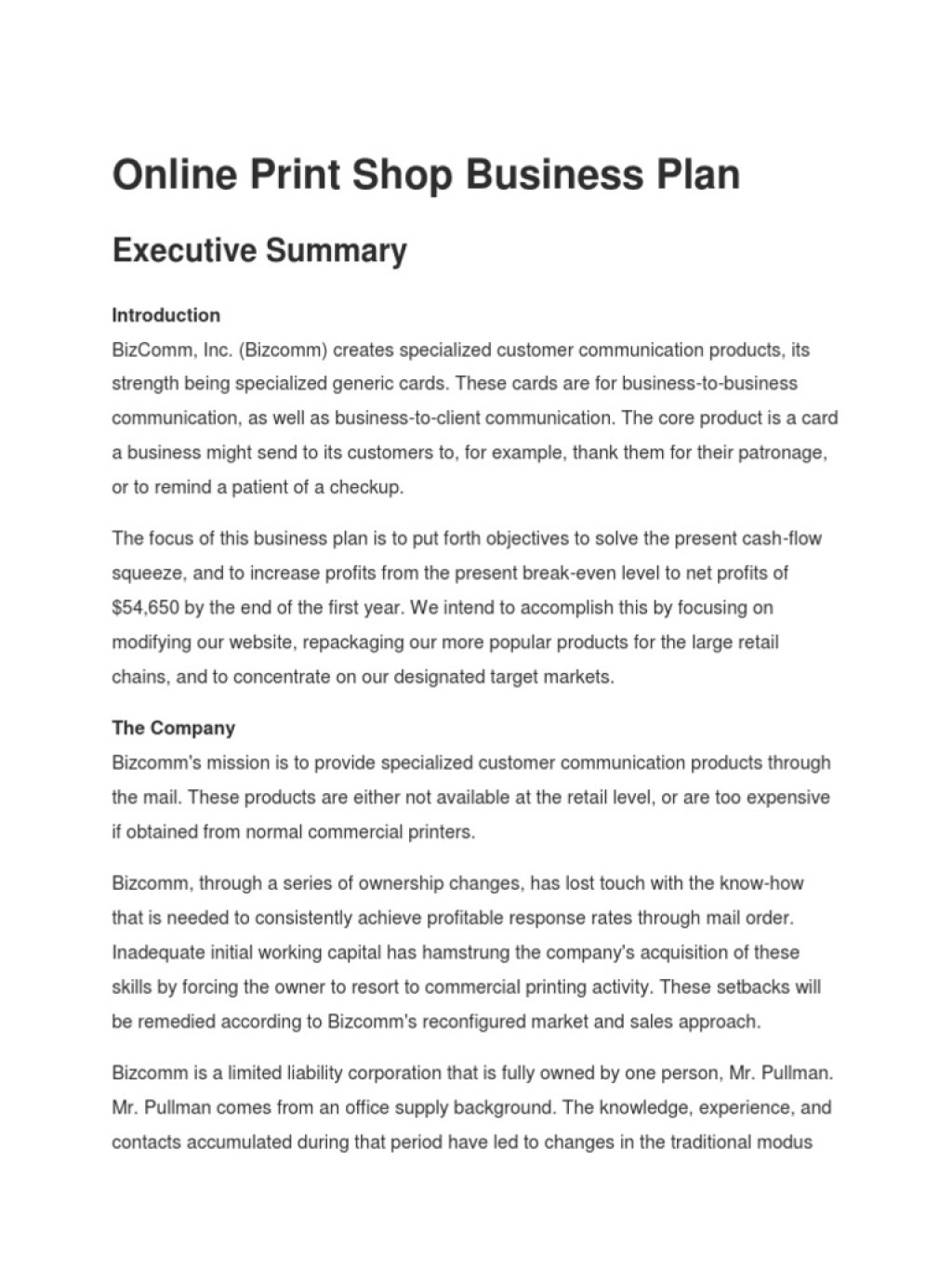 printing business business plan - Online Print Shop Business Plan PDF  PDF  Direct Marketing  Retail